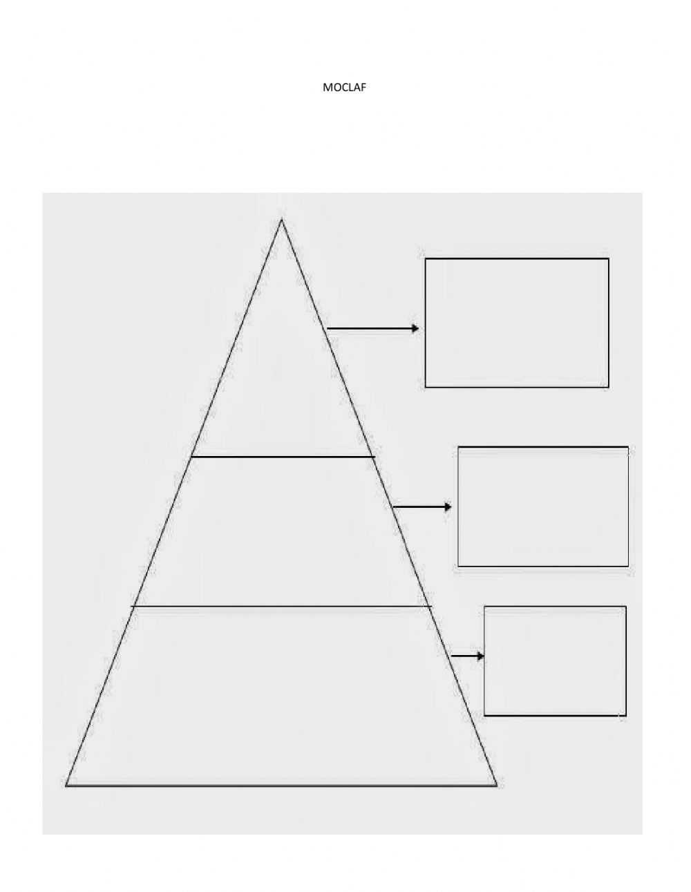 Moclaf interactive exercise With Blank Food Web Template