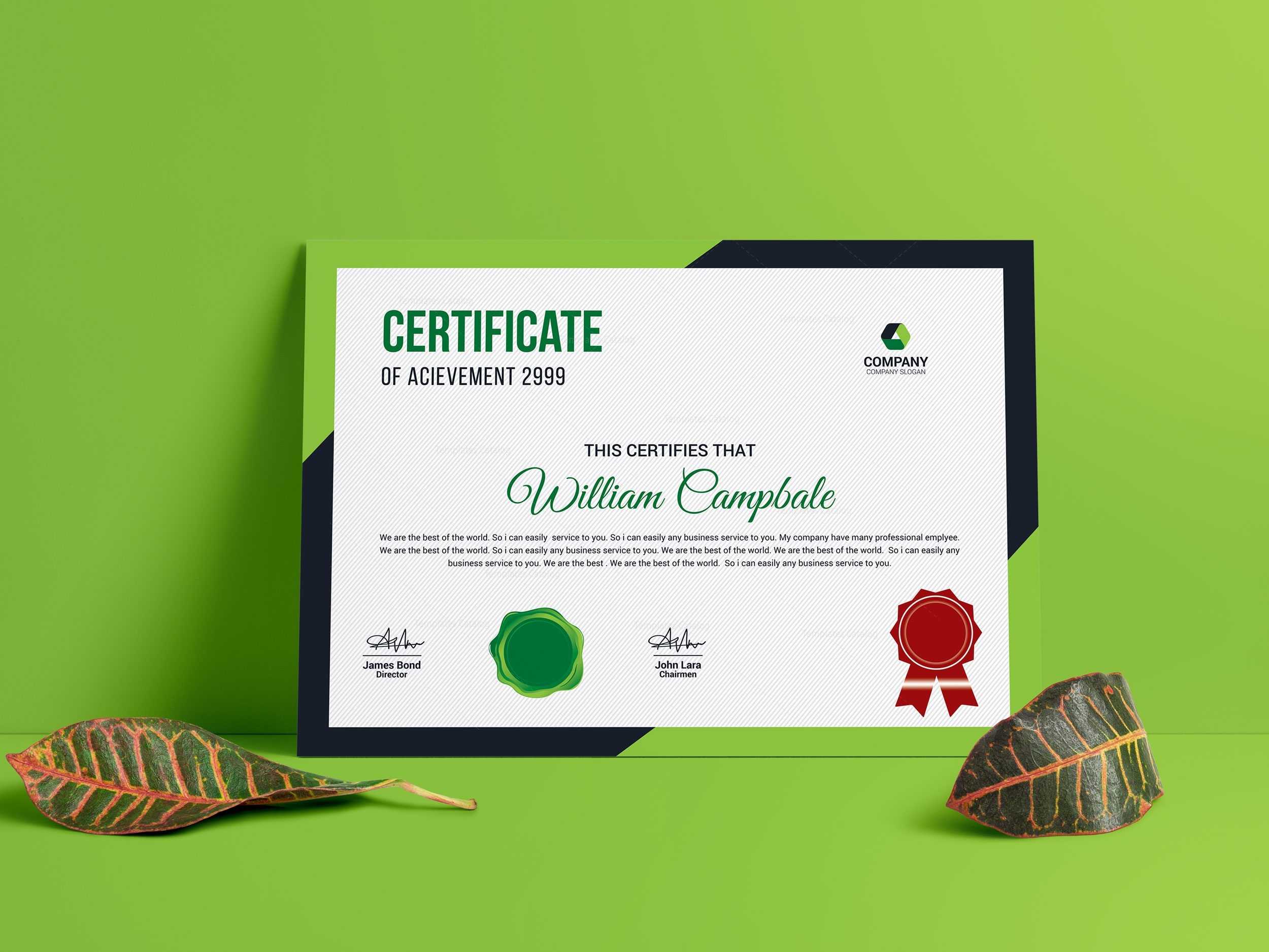 Modern Award Certificate Template 10 In Life Saving Award Certificate Template