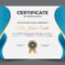 Modern certificate award template design vector illustration