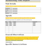 Monitoring Visit Report Template  PDF  Business Inside Customer Visit Report Format Templates
