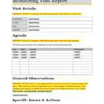 Monitoring Visit Report Template  PDF  Business Inside Customer Visit Report Format Templates