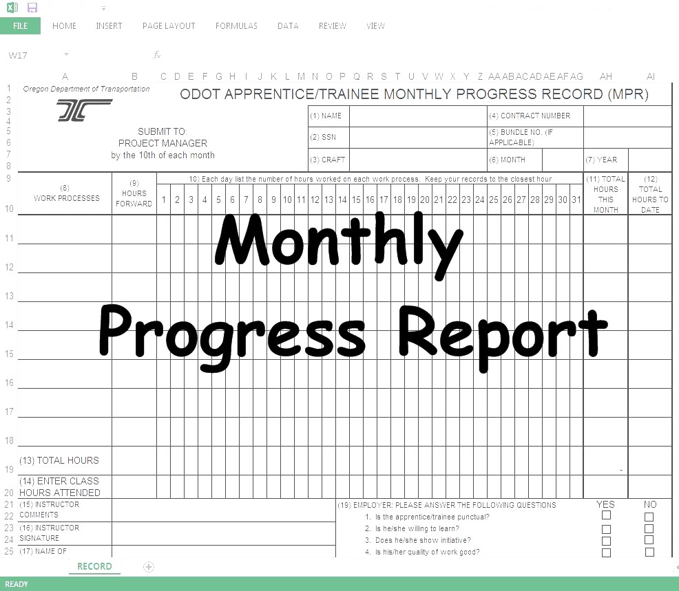 Monthly Progress Report(MPR) Spreadsheet - Online Civil