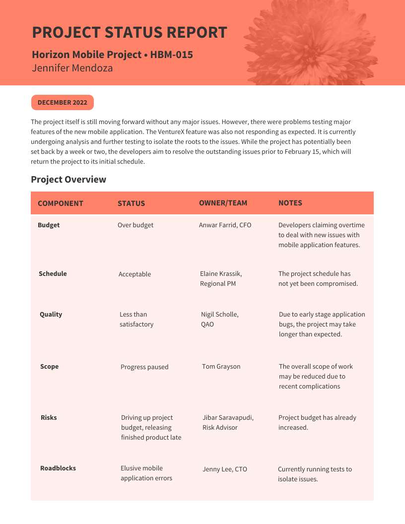 Monthly Project Status Report For Monthly Status Report Template Project Management