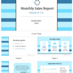 Monthly Sales Report Template In Sales Manager Monthly Report Templates