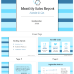 Monthly Sales Report Template Intended For How To Write A Monthly Report Template