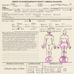 Morbid Academy: First Autopsy Report By NekoEm Chan On DeviantArt With Autopsy Report Template