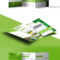 Nature Tri Fold Brochure Template Free PSD – PSDFreebies