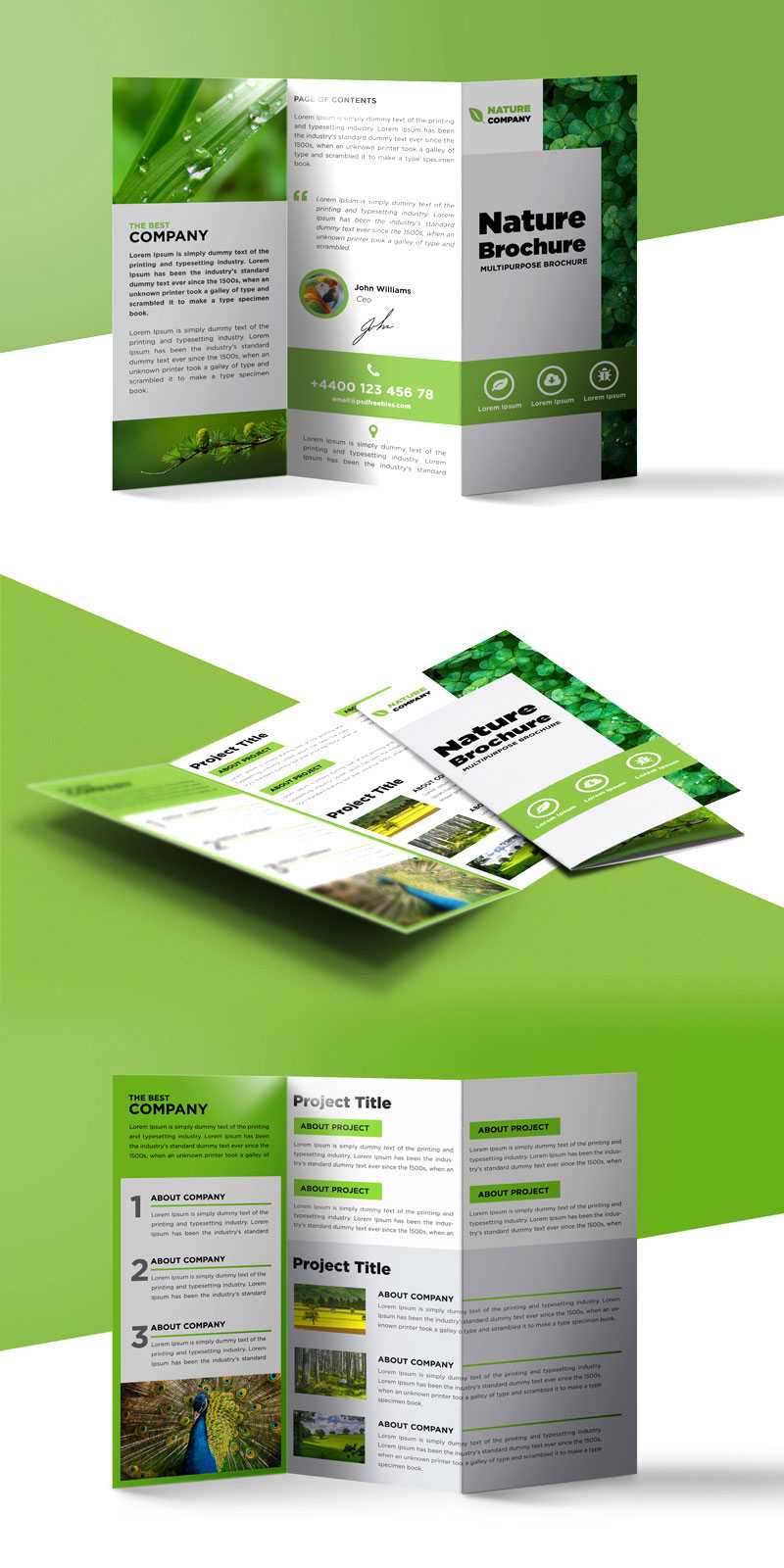 Nature Tri Fold Brochure Template Free PSD – PSDFreebies