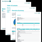 Nessus Scan Report (Top 10) – SC Report Template Tenable® For Nessus Report Templates