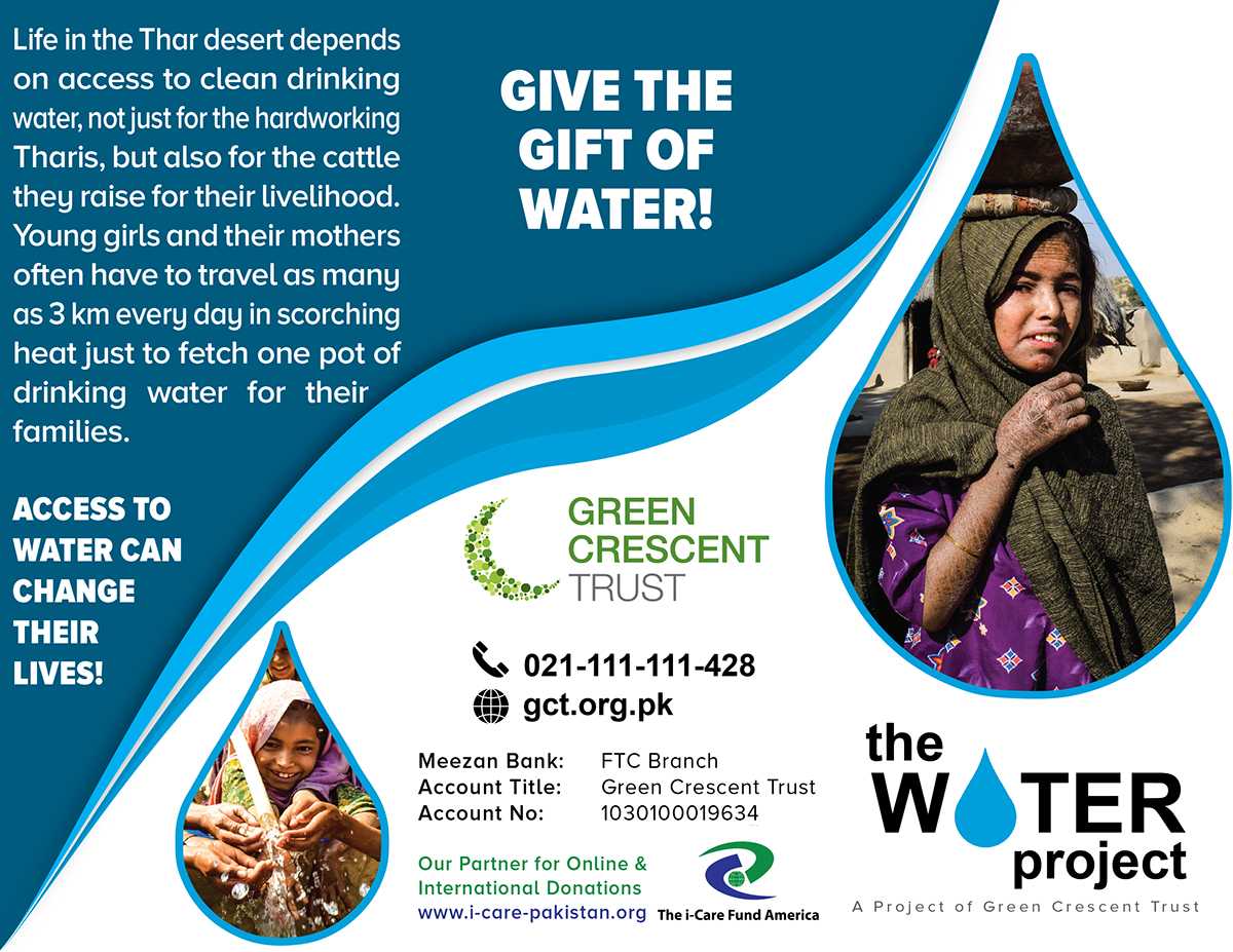 NGO or Charity Brochure Designs on Behance