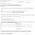 North Carolina Limited Liability Company Annual Report Form  Intended For Llc Annual Report Template