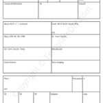 Nurse Report Template Blank Printable [PDF, Excel & Word] For Nurse Shift Report Sheet Template