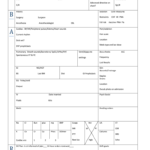Nursing Report Sheet Template – Fill Online, Printable, Fillable Intended For Nurse Report Sheet Templates