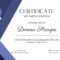Page 10 – Free, Printable Custom Participation Certificate For Certificate Of Participation In Workshop Template