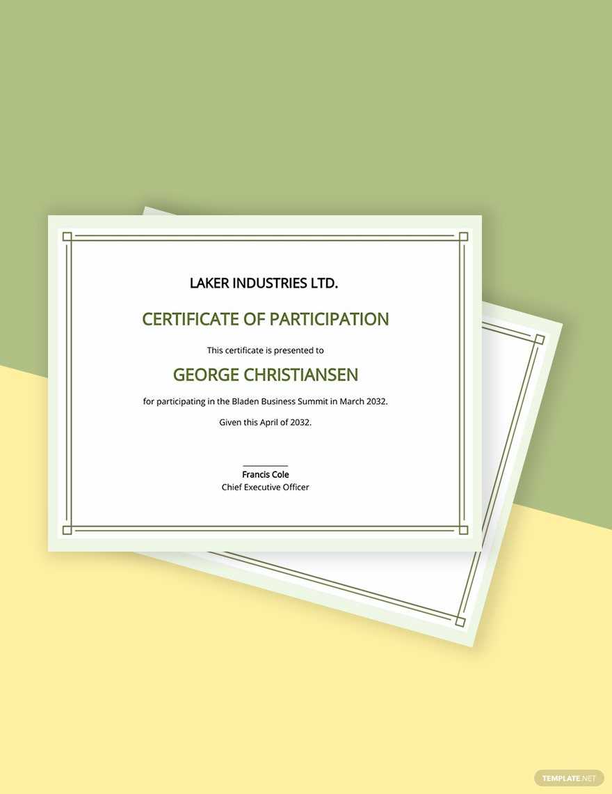 Participation Certificates Templates Pdf - Design, Free, Download