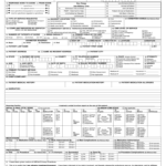 Patient Care Report Examples – Fill Online, Printable, Fillable  For Patient Care Report Template