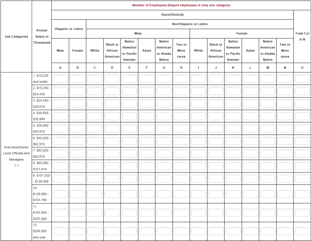 Pay Data Collection - Regulatory Transparency Project Within Eeo 1 Report Template