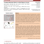 PDF) Common Building Defects In New Terrace Houses Intended For Building Defect Report Template