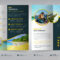 Premium Vector  Travel trifold brochure template