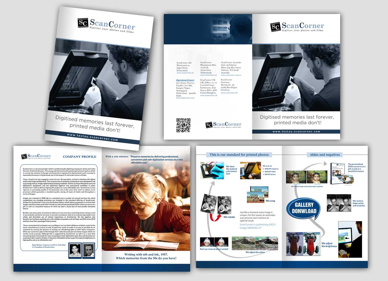 Professional, Serious Brochure Design Job