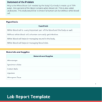 Progress Report – PDF Templates  Jotform Pertaining To Section 37 Report Template