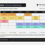 Progress Report Template For It Progress Report Template