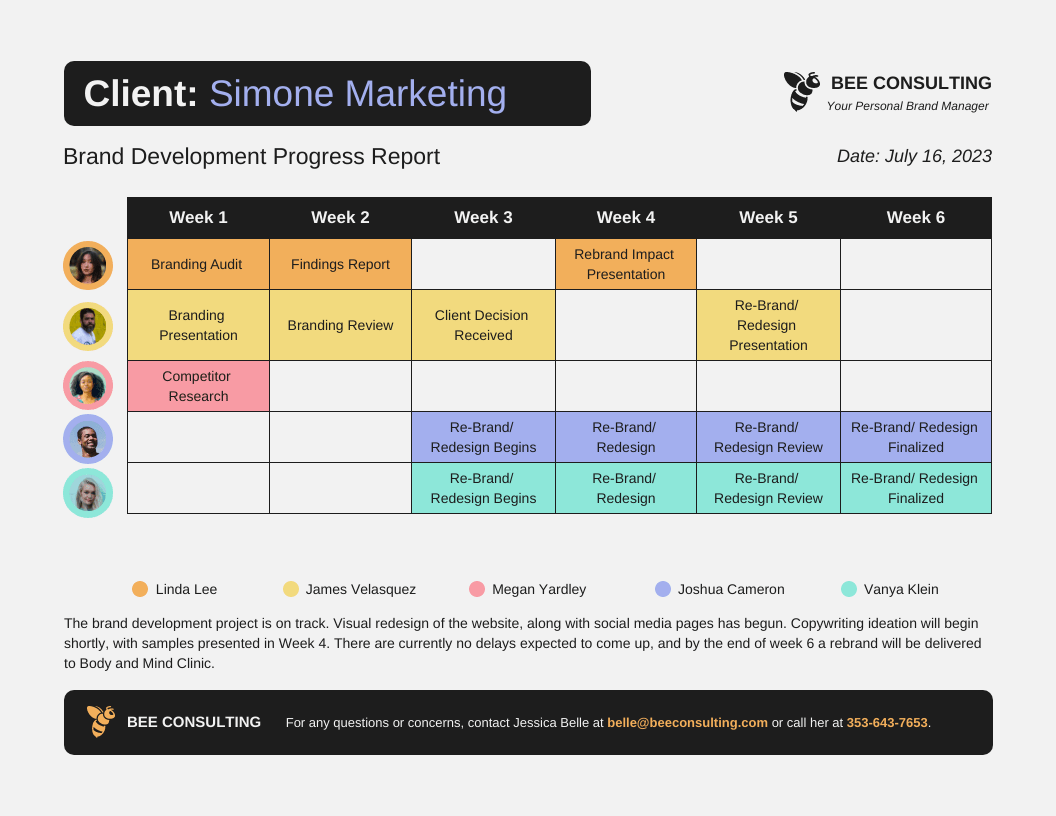 Progress Report Template For It Progress Report Template