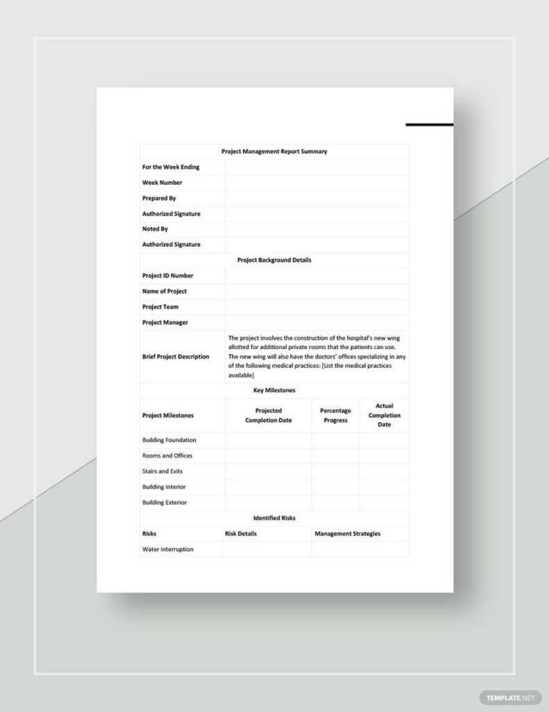 Project Management Form Report Example Project Management Reports Templates Pdf – Design, Free, Download In ...
