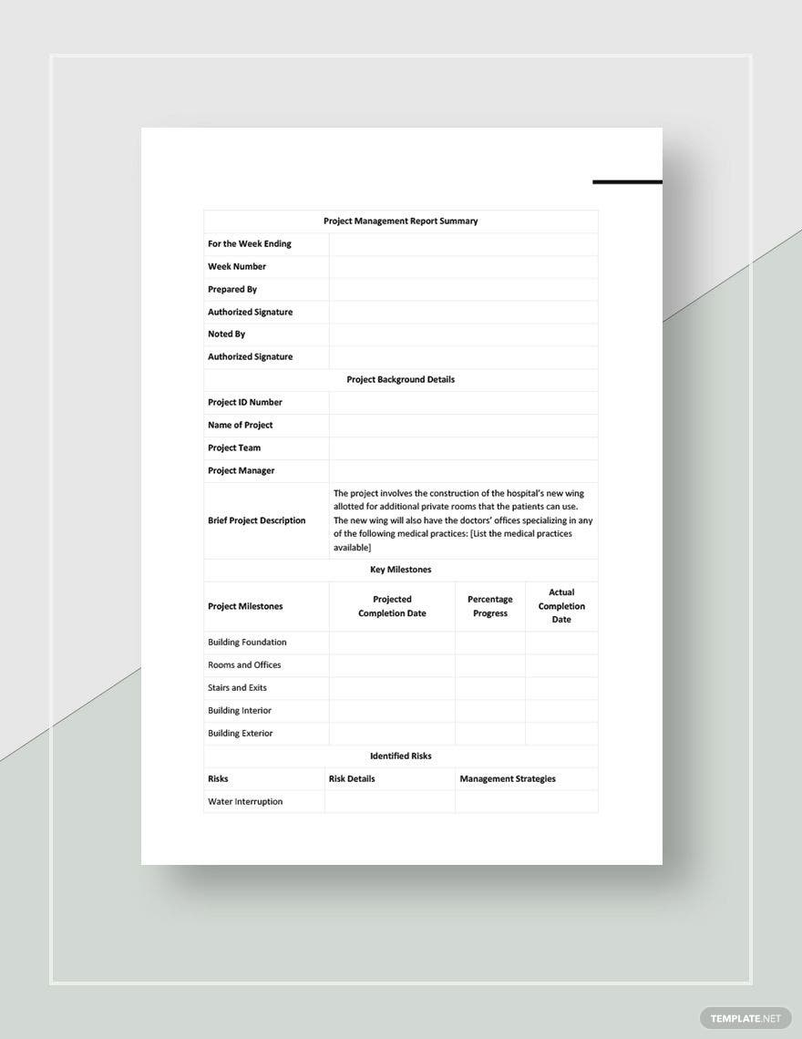 Project Management Reports Templates Pdf – Design, Free, Download  In Project Management Final Report Template