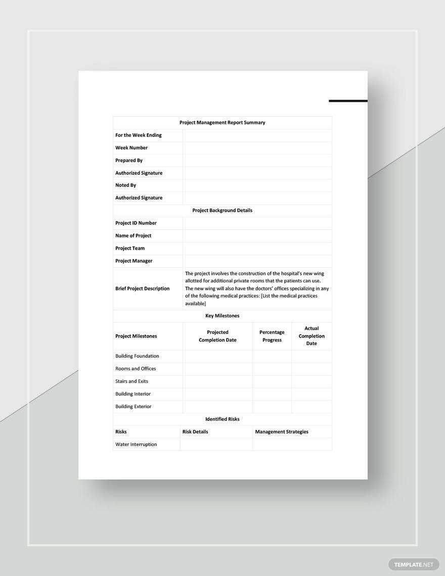 Project Management Reports Templates Pdf - Design, Free, Download  In Project Management Final Report Template