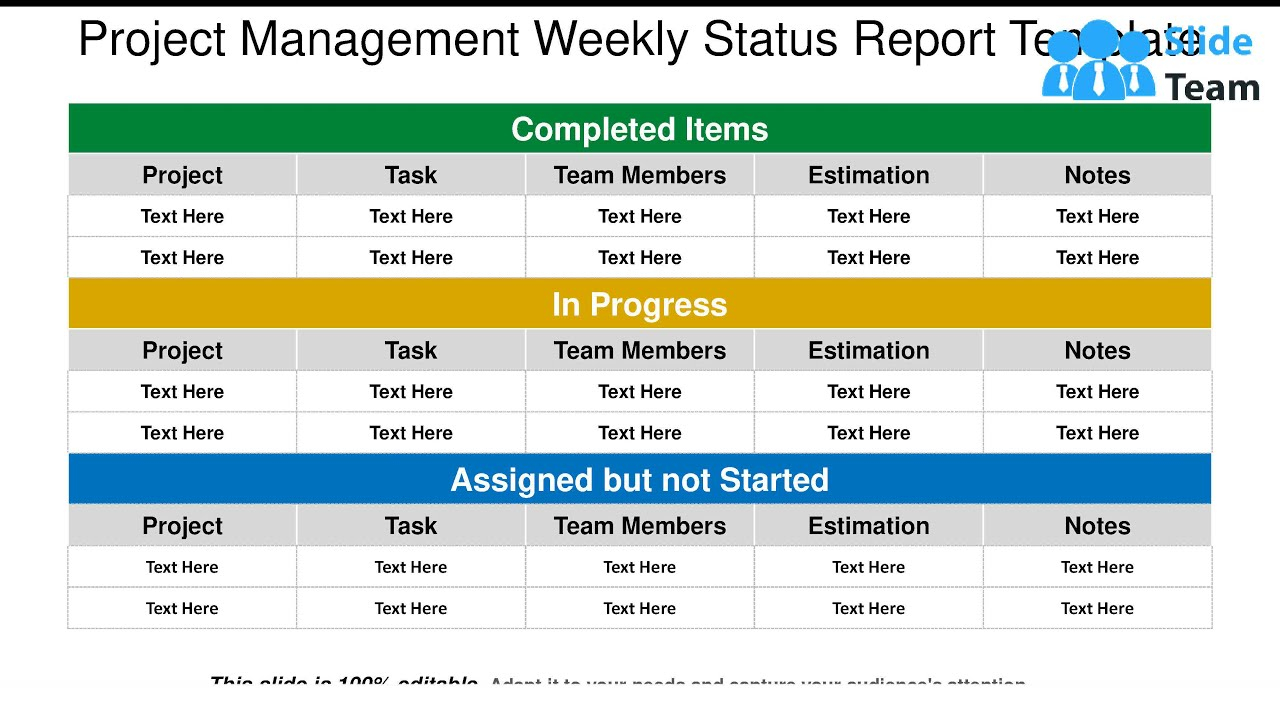 Project Management Weekly Status Report Template With Project Management Status Report Template