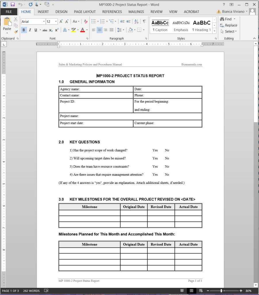 Project Status Report Template Regarding Team Progress Report Template