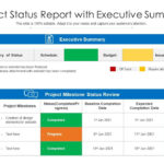 Project Status Report With Executive Summary  Presentation  Intended For Executive Summary Project Status Report Template