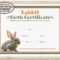 Rabbit Birth Certificate Template Printable Easter Gift - Etsy.de