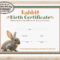 Rabbit Birth Certificate Template Printable Easter Gift – Etsy