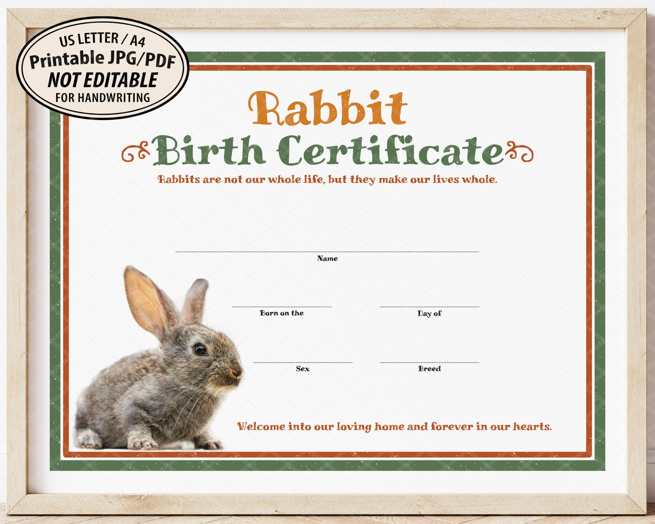 Rabbit Birth Certificate Template Printable Easter Gift - Etsy