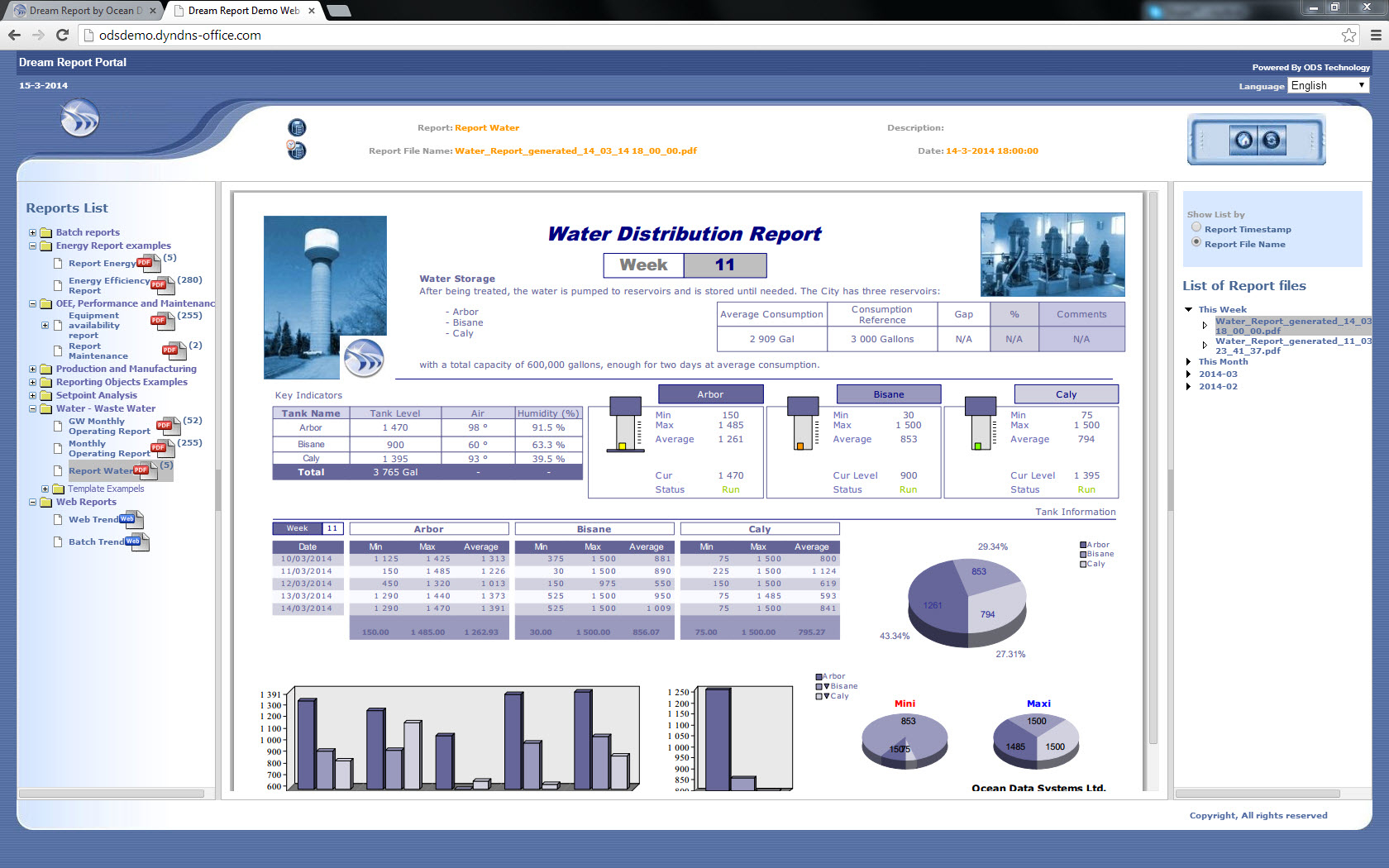 Report Templates and Sample Report Gallery - Dream Report For Reliability Report Template