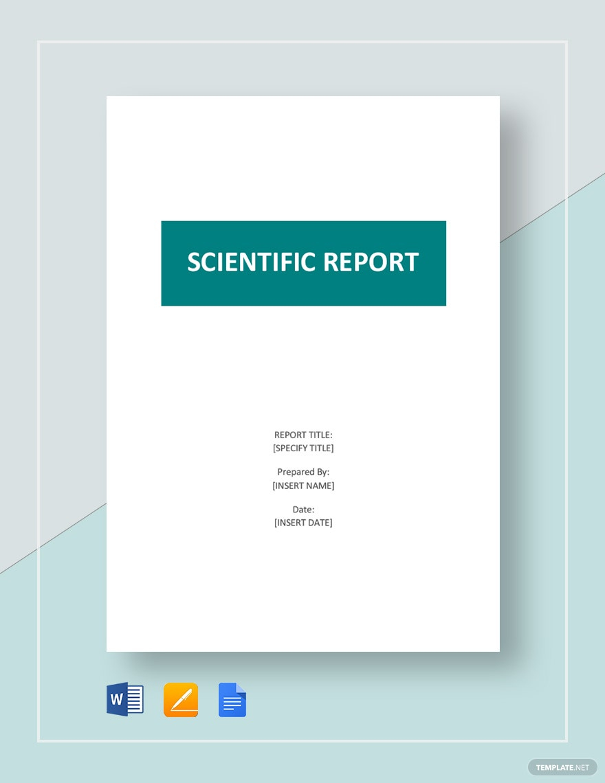Report Templates Word - Format, Free, Download  Template.net