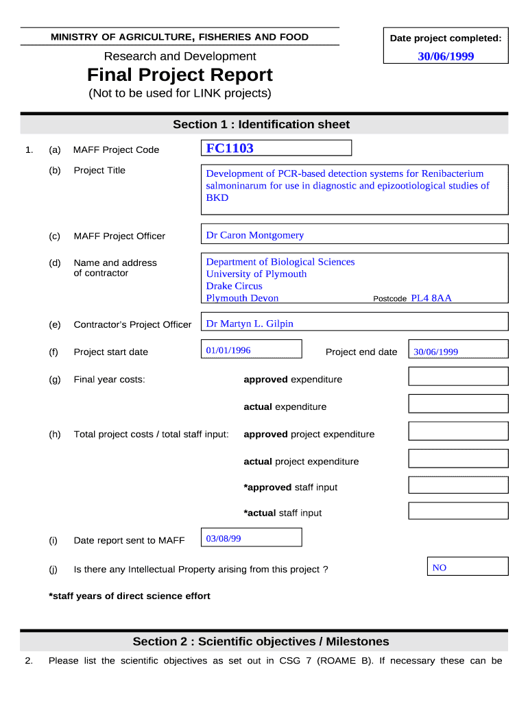 Research and Development Final Project Report Doc Template  pdfFiller In Research Project Report Template