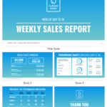 Sales Report Template For Sales Representative Report Template