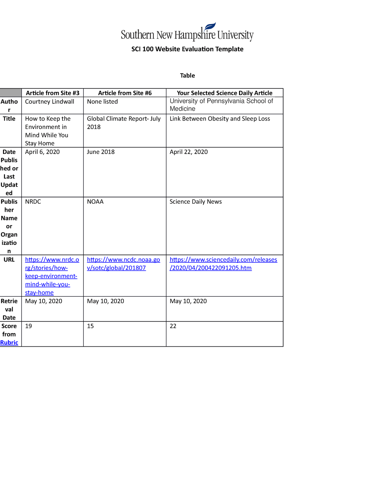 SCI 10 Website Evaluation Template 10EW10 - SCI 10 Website  Inside Website Evaluation Report Template