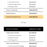 Simple Nonprofit Budget Annual Report Template