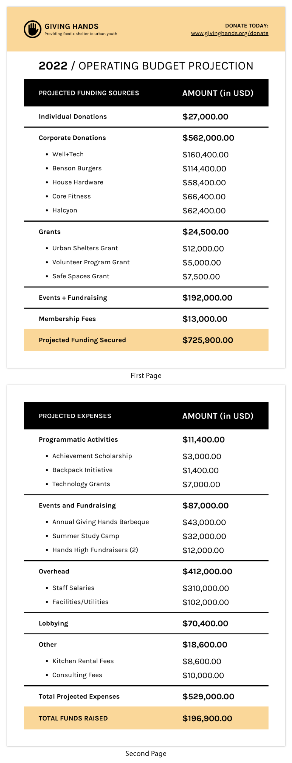 Simple Nonprofit Budget Annual Report Template