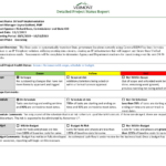 Simple Project Status Report – 10+ Examples, Format, Pdf  Examples Intended For Project Implementation Report Template