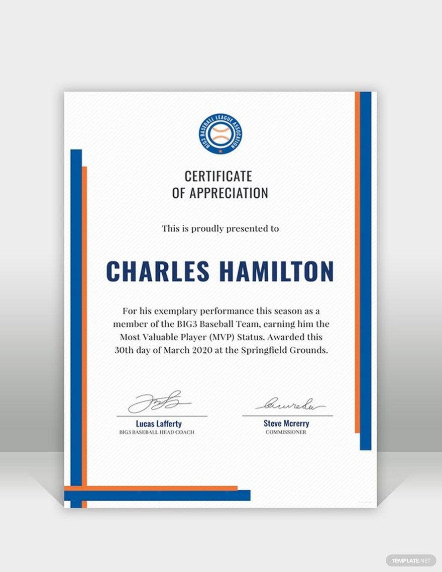 Sports Appreciation Certificate Template - Google Docs, Illustrator  For Formal Certificate Of Appreciation Template