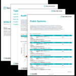 STIG Report (by MAC) – SC Report Template  Tenable® Intended For Security Audit Report Template