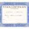 Stock Certificate Template Eqvista With Regard To Blank Share Certificate Template Free