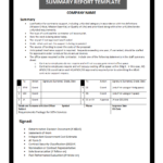Summary Report Template In Template For Summary Report