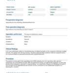 Surgery Operative Report Template  Visme Inside Operative Report Template