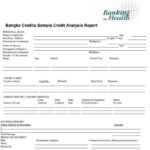 Top 10 Business Analysis Report Templates [Word, Excel & PDF  Regarding Credit Analysis Report Template